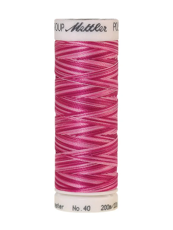 Нить для вышивания мультиколор POLY SHEEN MULTI METTLER, цвет 9923, 200 м