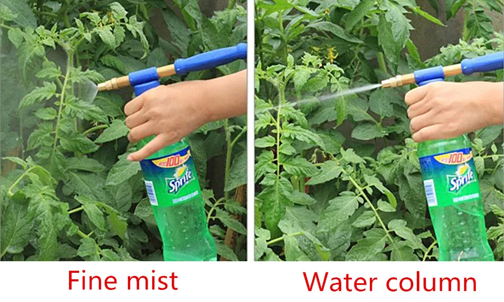 3763521527_1352628340