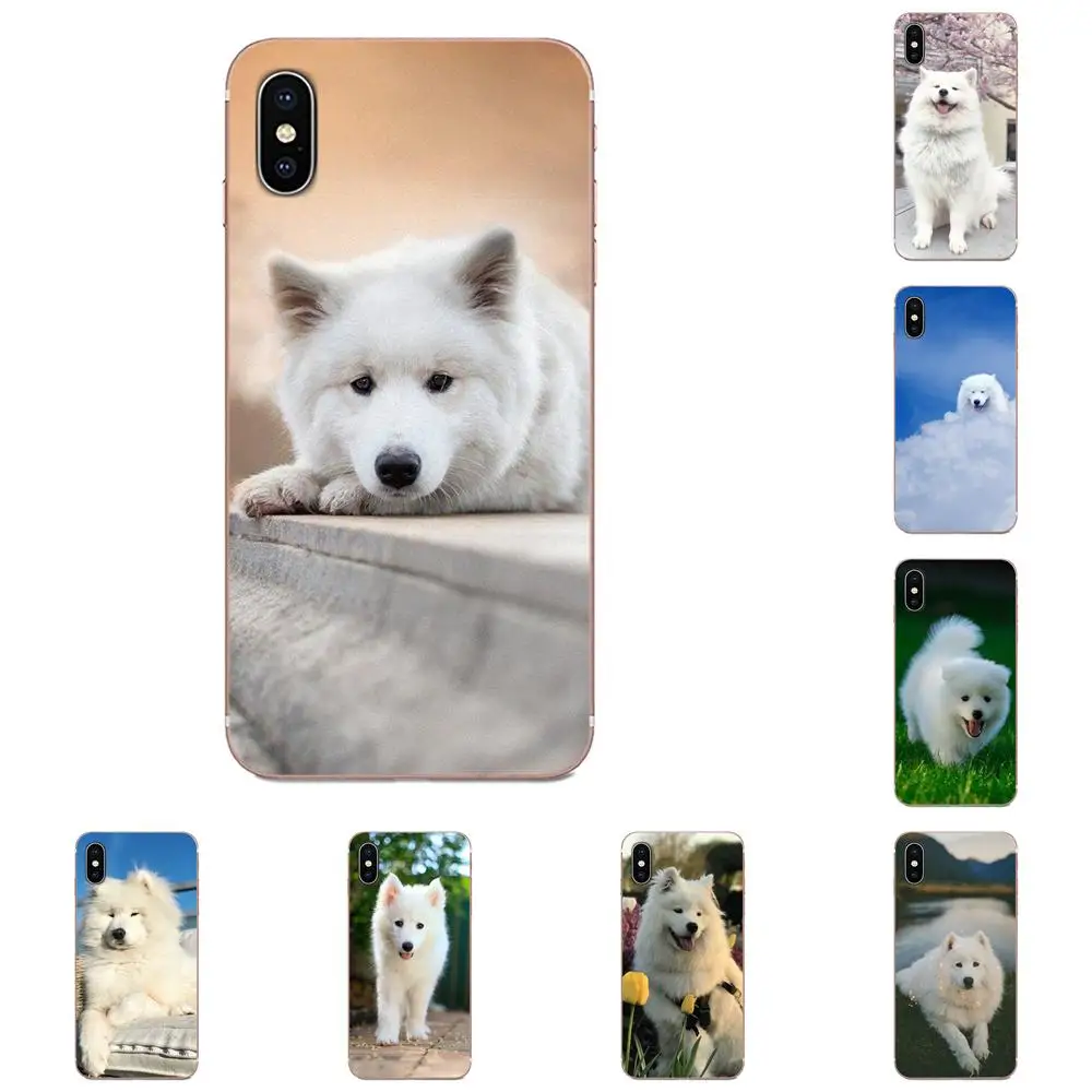 Для Galaxy Alpha Note 10 Pro A10 A20 A20E A30 A40 A50 A60 A70 A80 A90 M10 M20 M30 M40 TPU Phone Capa White Samoyed Dog Lovely | Мобильные
