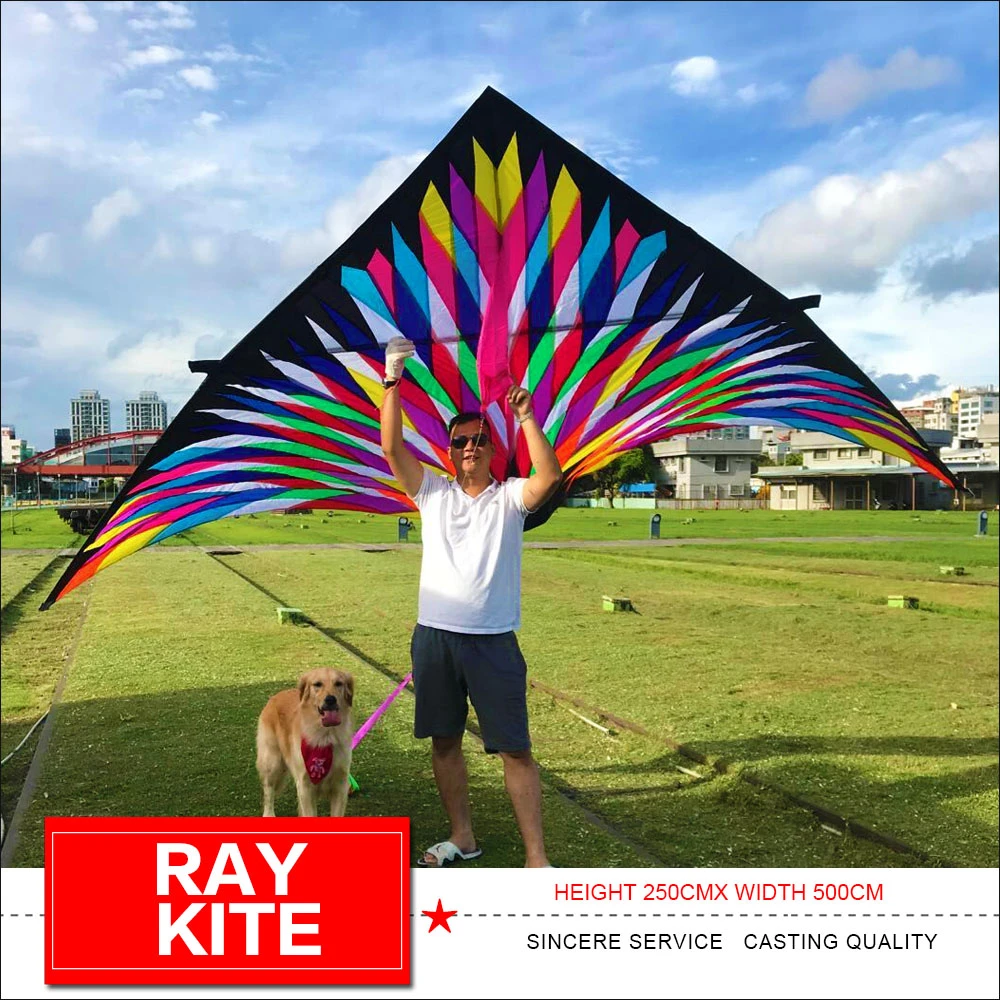 Behoefte aan belegd broodje Biscuit Ray Kite Driehoek Kiteoutdoor Fun Grote Delta Kite Enkele Lijn Kleurrijke  Driehoek Vliegende Vliegers Voor Audlts|Vliegers en accessoires| -  AliExpress