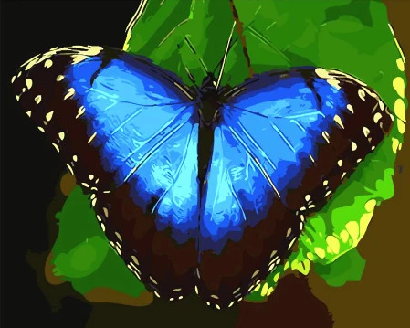 HUACAN живопись по номерам животные бабочка ручная роспись наборы Рисование холст картины украшение дома DIY подарок - Цвет: SZHC1416