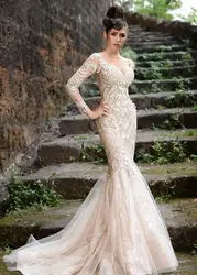 2020 New Deep V Neckline Long Sleeve Lace Formal Gowns Embroidery Tulle Champagne Mermaid Prom Mother of the Bride Dresses