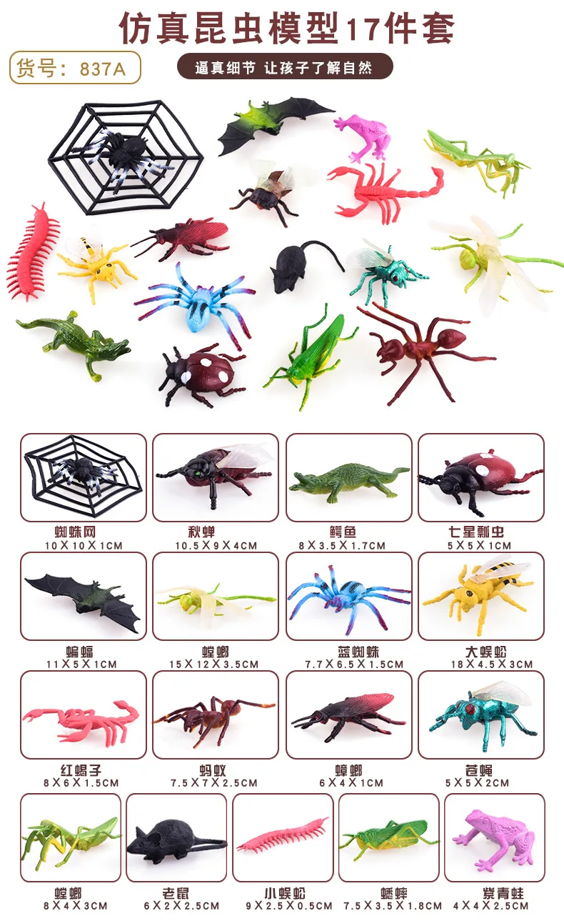 Multi-Model Insect Seabed Animal Furnishings Sand Table Scene Science Cognitive Animal Model