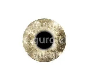 QQ截图20190510115010