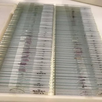 

100pcs animal plant insect tissues Biological prepared slides