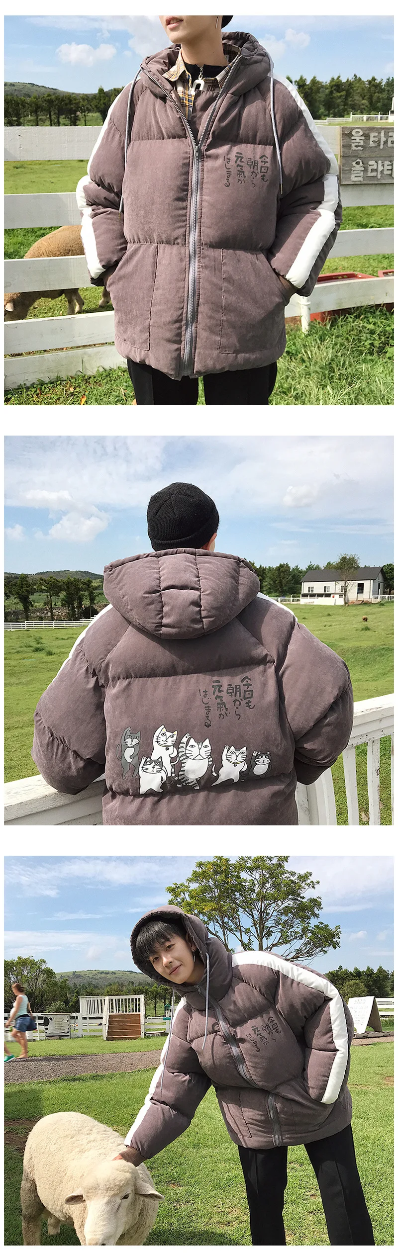 Hot Selling Korean-style Loose-Fit Hooded Cotton-padded Clothes Men And Women Couples Students Teenager Casual Trend down C