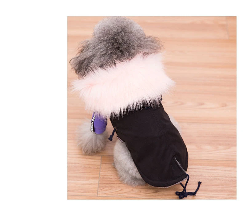 9479447267_859103132