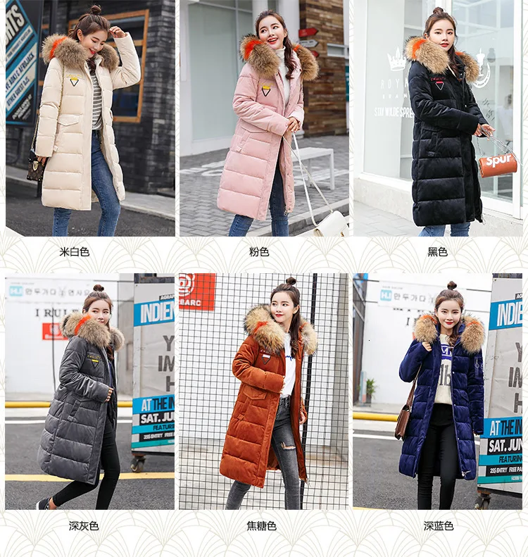 9051445818_1006637240