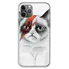 Mobile Phone Accessories