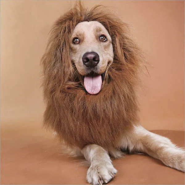 Pet cosplay Wig Хэллоуин Лев грива кошка собака костюм зимний шейный платок рукав бант товары для домашних питомцев, игрушка для собак и кошек одежда