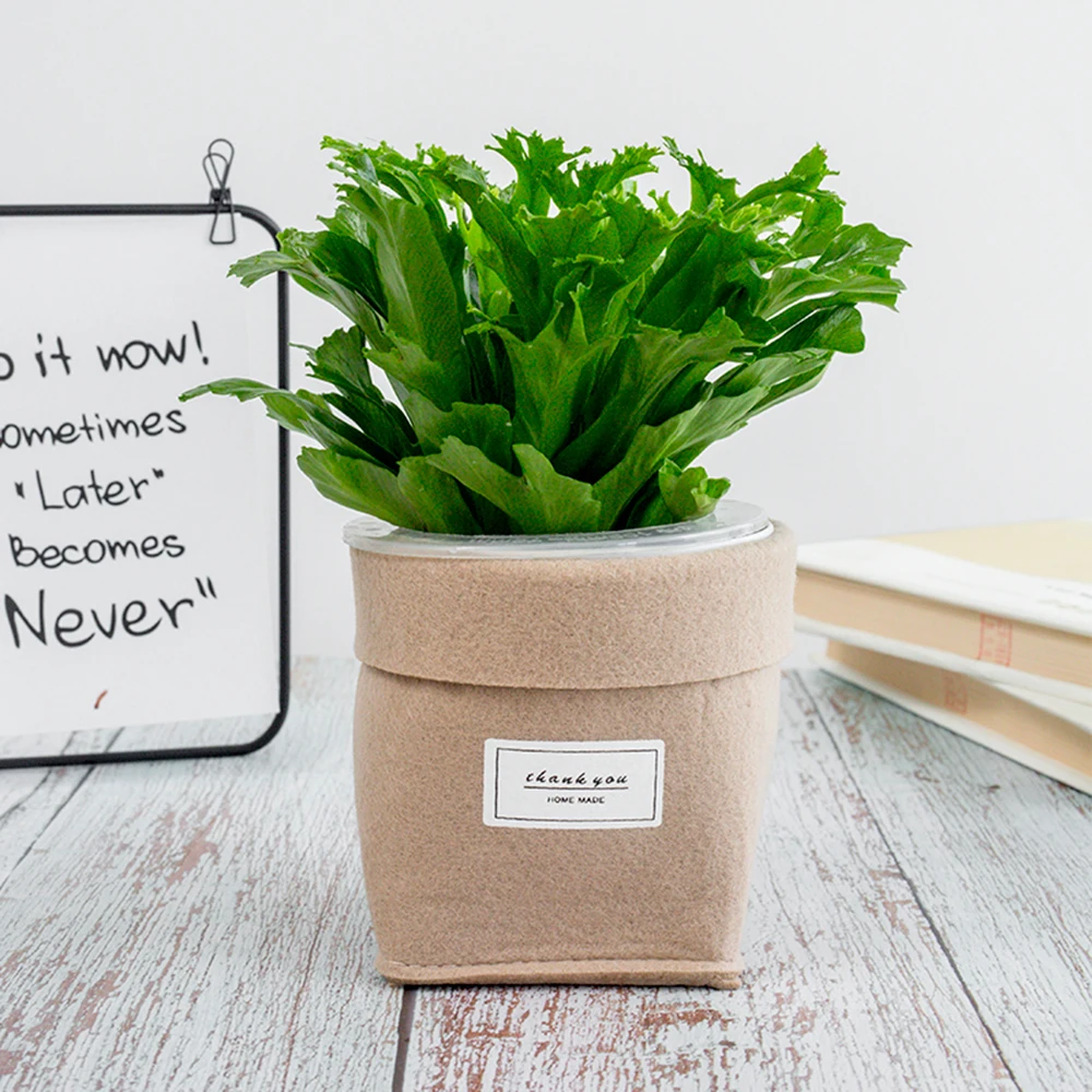 O1CN011S1EGSU2Qpsb4vp_!!2670722186