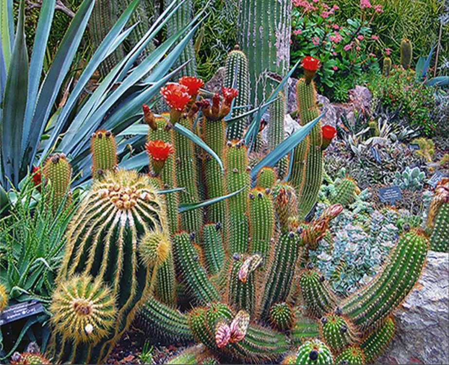 360截图20200531143237412