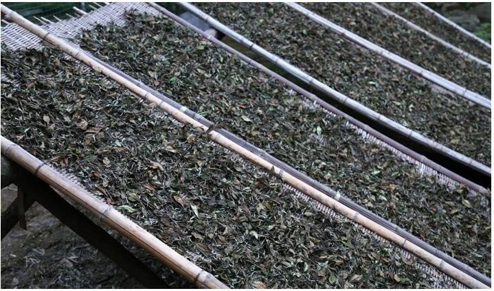 High Quality White Tea 300g Fuding Shoumei Old White Tea Green Food Lowering Blood Pressure Shoumei Tea