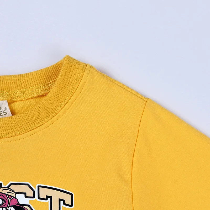 Baby Boys Girls T-shirt Autumn Spring Loose Children Cartoon Dinosaur Print Pullover Long Sleeve Infant Tops Blouse Sweatshirts