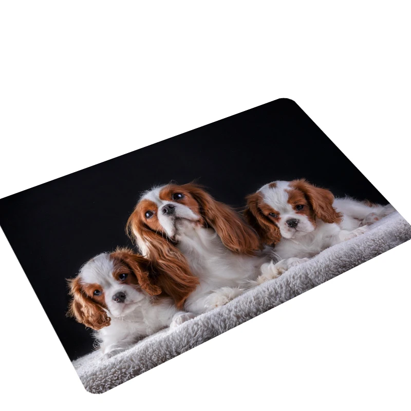 Cute Pet Dog Pictures Print Doormat Floor Mat Kitchen Carpet Door Living Room Mats Outdoor 80CM | Дом и сад