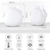 LED Lamps