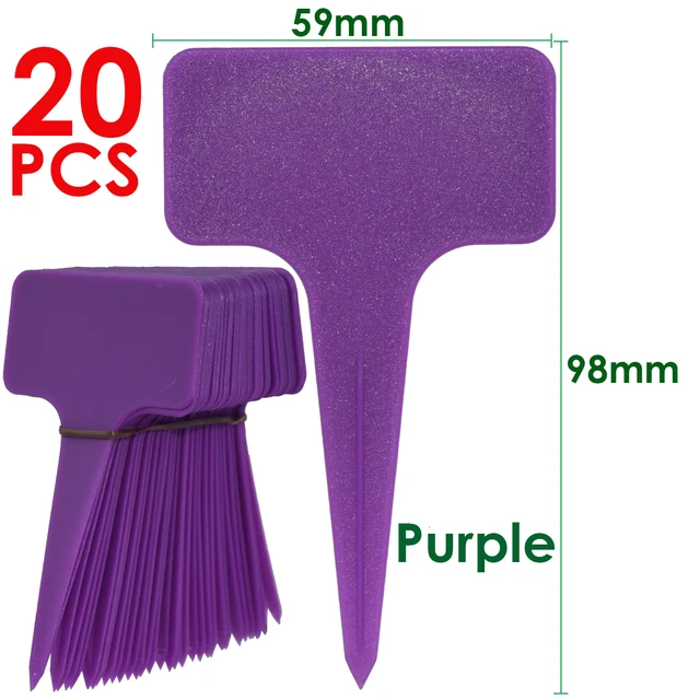 purple-20pcs
