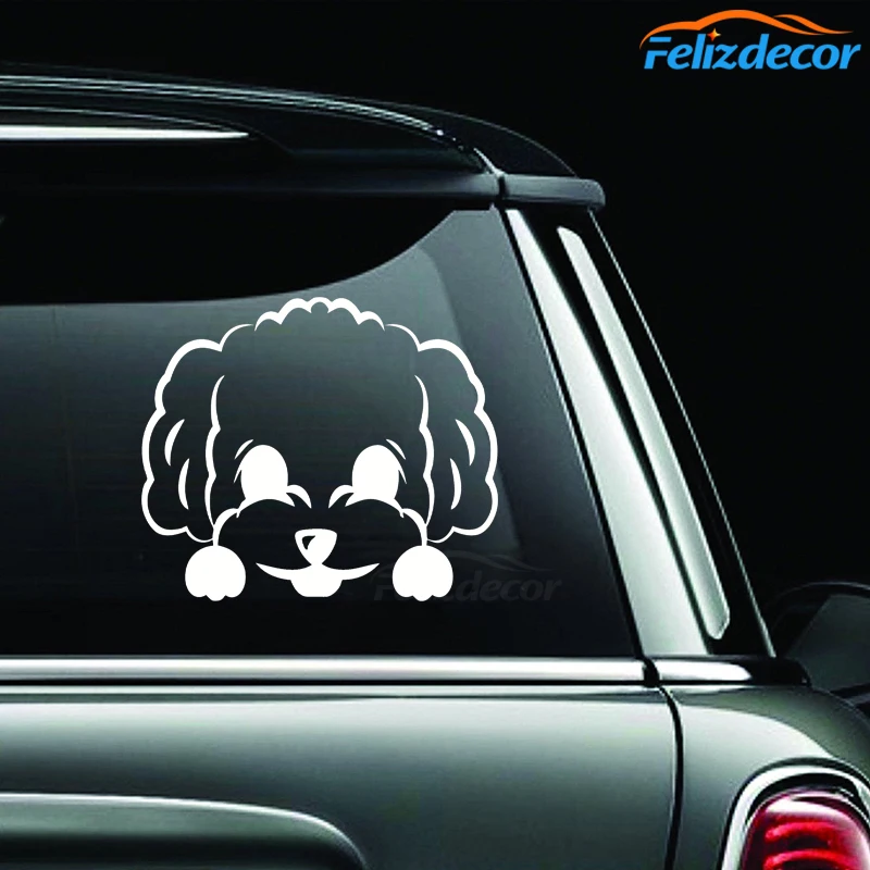 Стикер Chira toy poodle peeks виниловые наклейки для автомобиля с милой собачкой