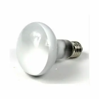 

25-100W Intense Basking Spot Light Bulb Reptile Light Lamp Sun Heat Daylight new