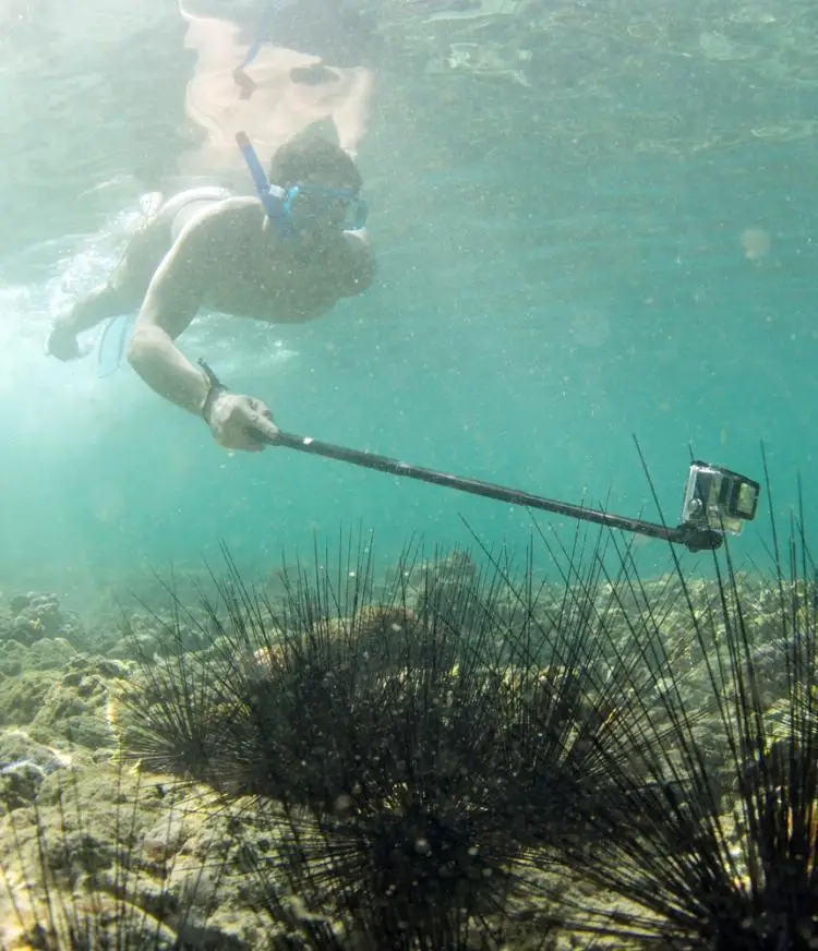 8736713247_1262200576