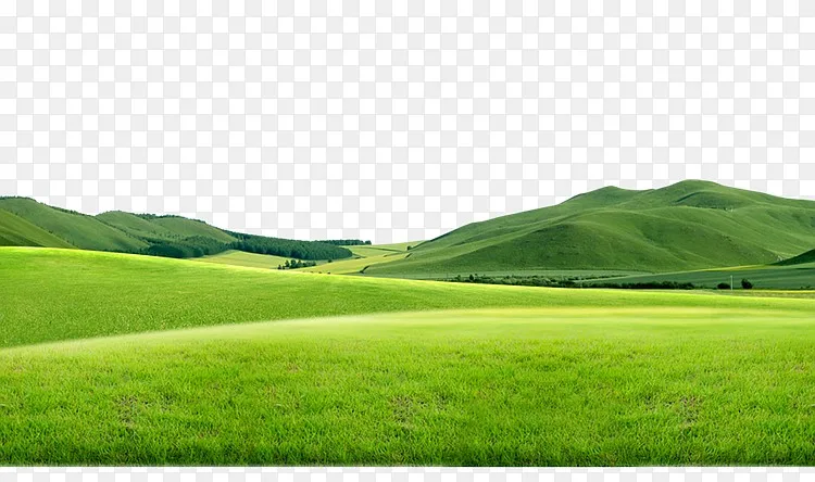 草地草原素材png图片素材免费下载 图片编号qperkvem Pngbag素材网