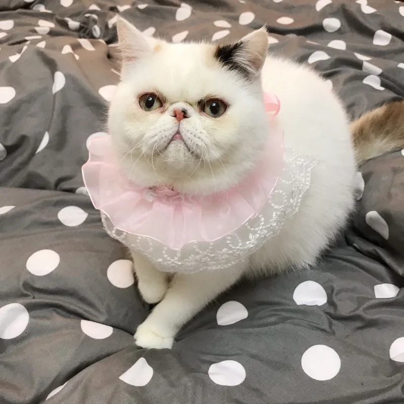 Pet Sweet Lace Scarf Pink Dog Bib Cat Collar Wedding Scarf Decoration Cute Heart Neckerchief Scarf Saliva Towel For Puppy