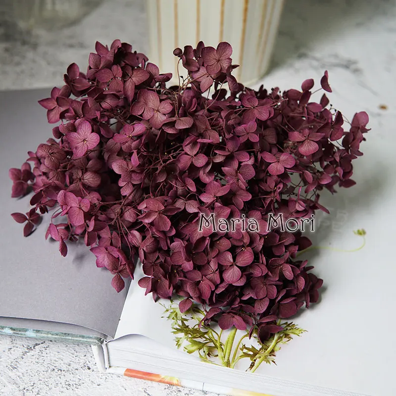 Anna Hydrangea  Flowers  Little  Leaves Preserved Hydrangea Decor  Office Decor  DIY Flowers