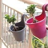 Garden Supplies