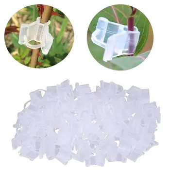 

100/200pcs/set Garden Grafting Clips Plastic Transparent Vegetable Flower Plants Grafting Clips Gardening Ornaments Tools White