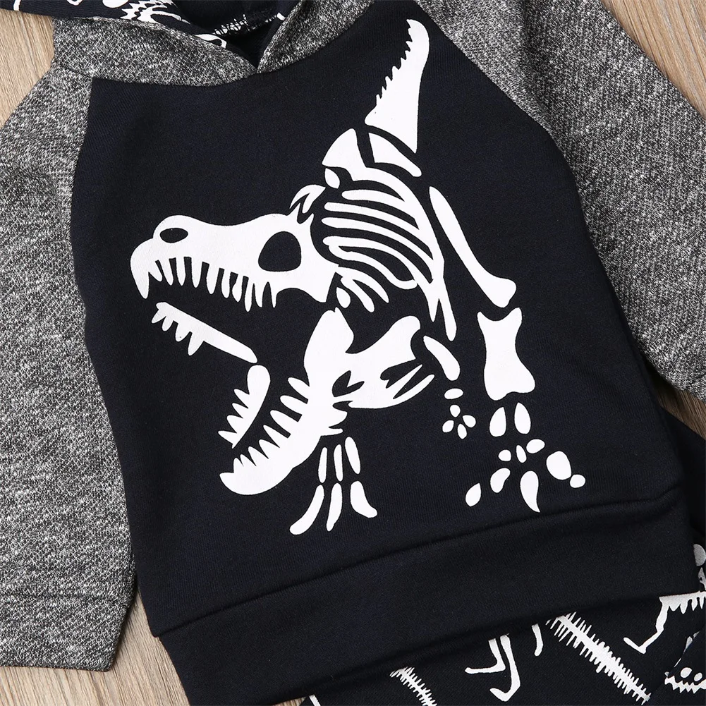 Осенняя одежда с капюшоном для маленьких мальчиков топы с длинными рукавами и штаны с изображением животных комплект с рисунком динозавра