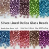 2mm 10/0 Lined Delica Beads 600Pcs/Bag 20 Colors Spacer Glass Seed Beads for DIY Craft Jewelry Earring Making Accessories 10g ► Photo 2/6