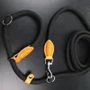 Pet Products