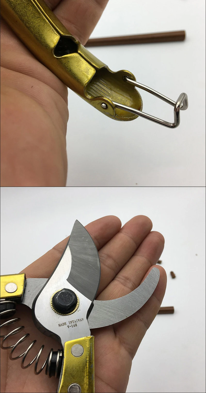 HTB1bVBsaOLrK1Rjy1zdq6ynnpXa8 (2) 副本