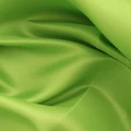 Bud Green