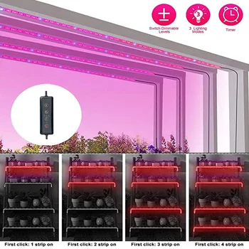 

Waterproof Indoor Plants Remote Control Agriculture Red Blue Spectrum Outdoor Garden Green House Backyard LED Grow Light Strips