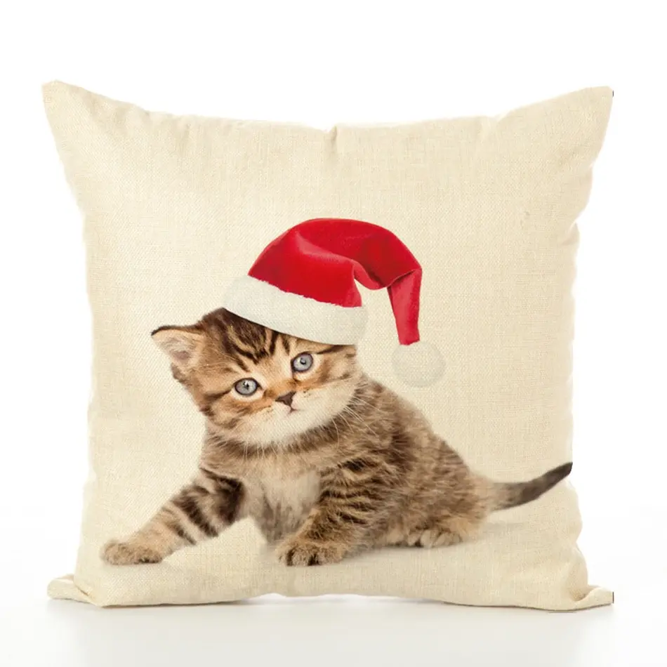 7399265097_941492023