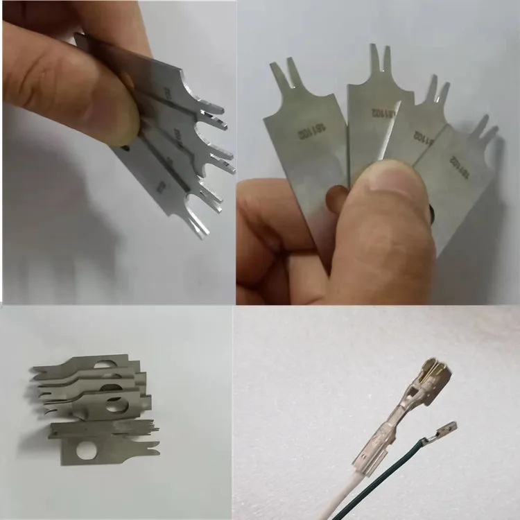 10863780351_1385861991