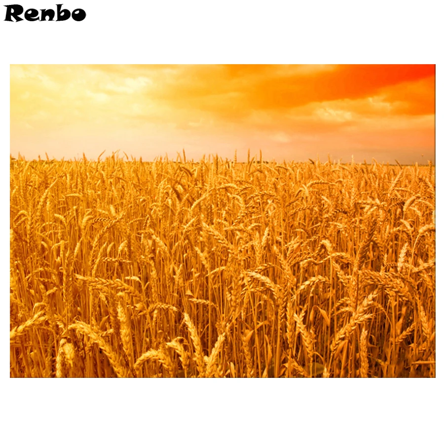 

New arrival 5d Diy Diamond Painting Cross Stitch golden wheat field Rhinestones pictures Full square/round Mosaic Embroidery
