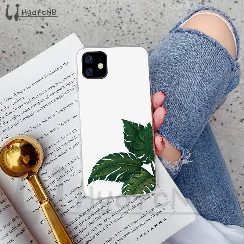Banana Leaf