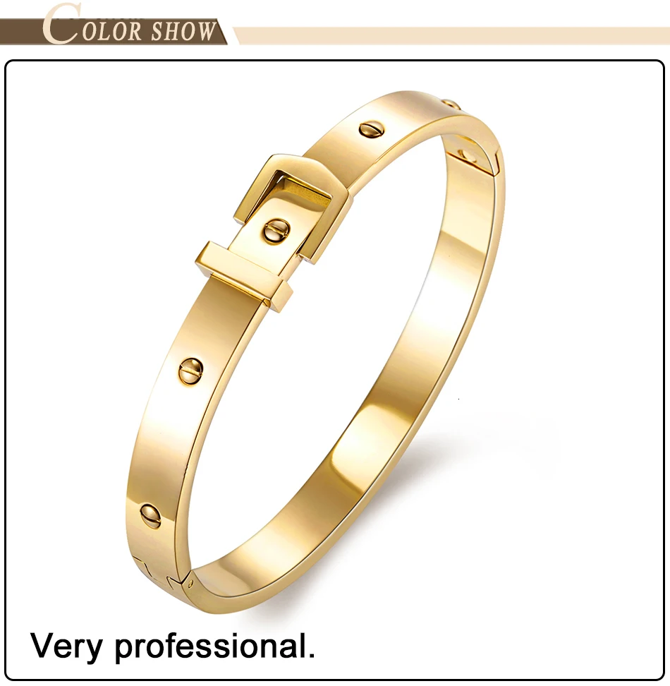 Bangles Bracelet Stainless Steel Femme (2)