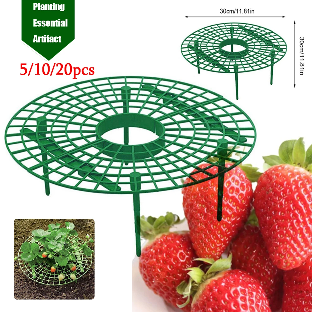 Strawberry Stand Planting Rack Fruit Support Plant New Stand Gardening Stand
