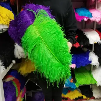

Wholesale 50 pcs Green and Purple "Thick Stem" Male Ostrich Feathers 24-26inch/60-65cm DIY Jewelry Craft Making Decoration