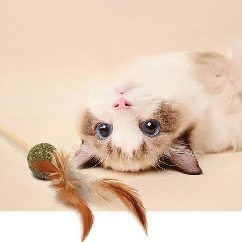 Catnip Toys Interactive Cat Teaser With Wood Rod Catnip Ball Funny Feather Pet Eco-friendly Training Tool