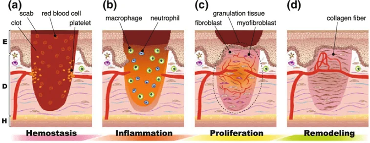 E[X%CX8IT0H]{H44H`)$$~H