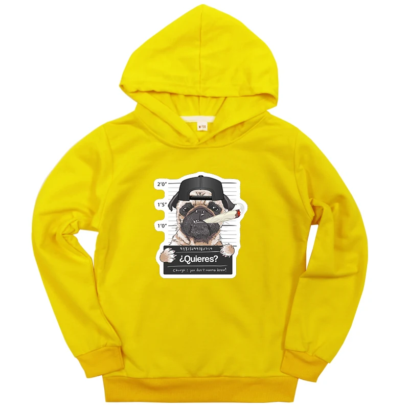 Hoodies 5 Свитер для маленьких девочек с принтом в виде собаки для детей ясельного возраста зимние толстовки с капюшоном для детей, пуловер с длинными рукавами подарок для мальчиков девочек Костюмы Moletom Infantil - Цвет: Hoodies 5