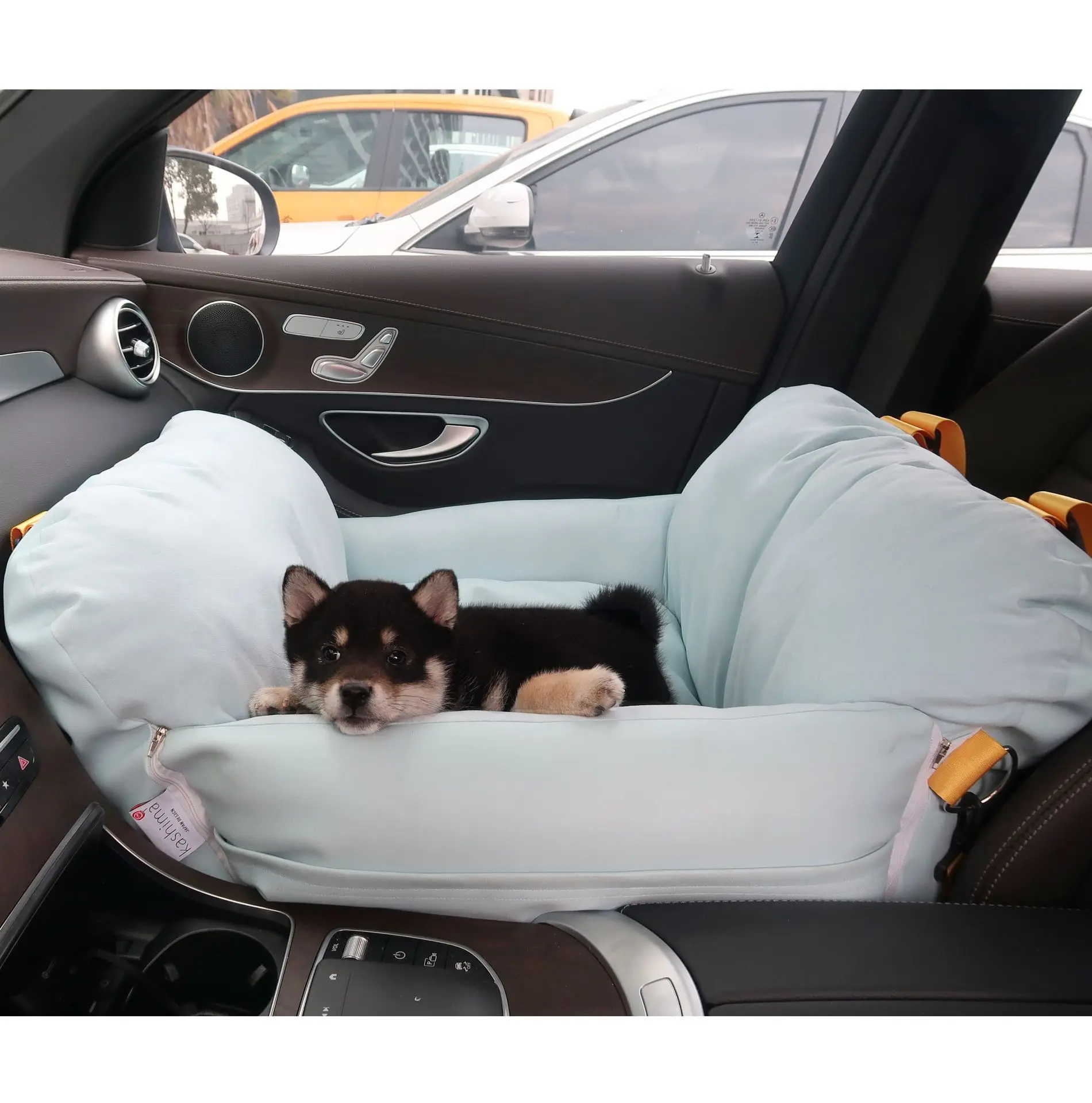 Dogs On Leather Car Seats