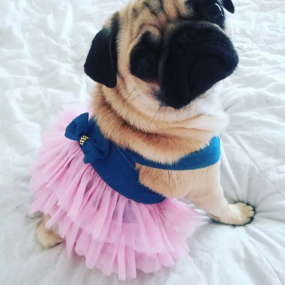 

Summer Dress for Dog Pets Chihuahua Wedding Dress Skirt Puppy Clothing Spring Dresses for Cats Dogs Jean+Lace Pet Dresses XS-XXL