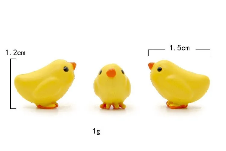 2894962549_1234778448