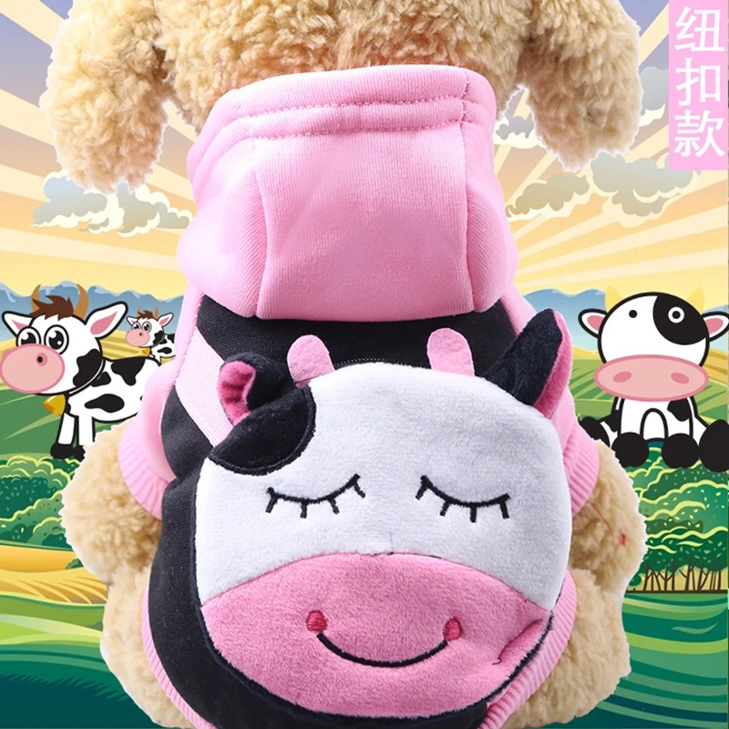 9124854723_1119372358