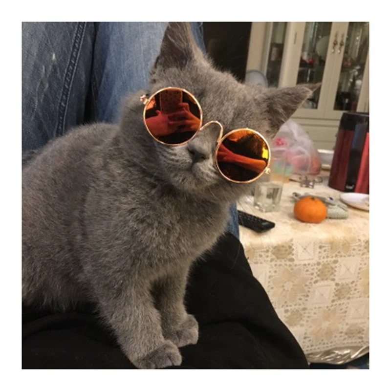 2 шт. солнцезащитные очки для домашних животных Симпатичный кот собака | Дом и сад